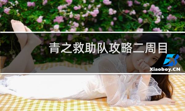 青之救助队攻略二周目