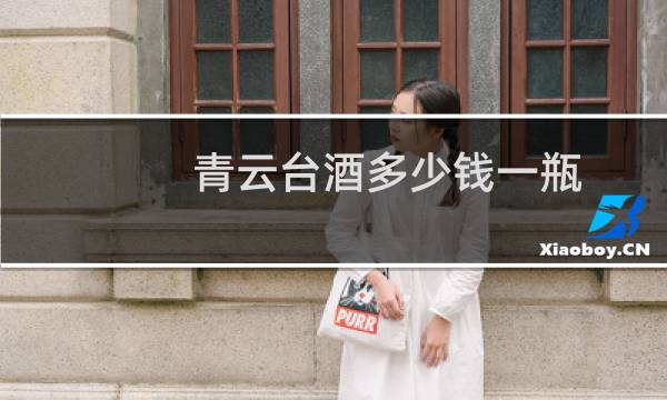青云台酒多少钱一瓶