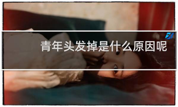 青年头发掉是什么原因呢