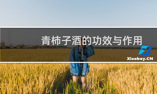 青柿子酒的功效与作用