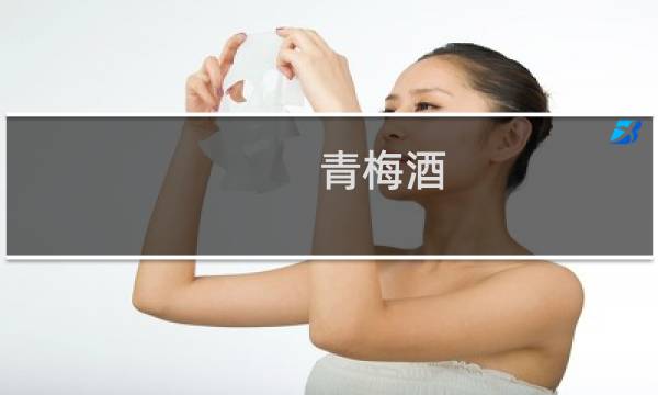 青梅酒 价格表
