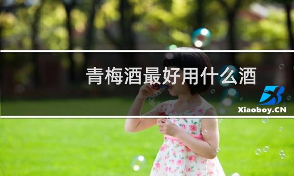 青梅酒最好用什么酒