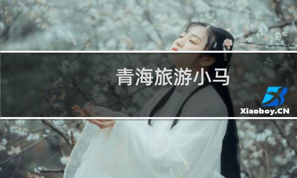 青海旅游小馬