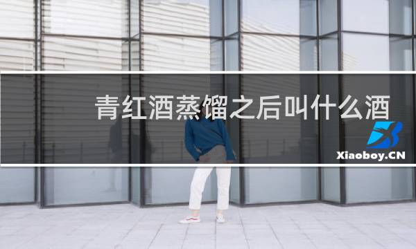 青红酒蒸馏之后叫什么酒