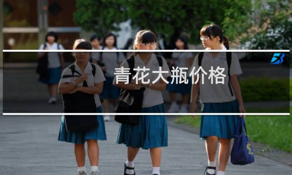 青花大瓶价格