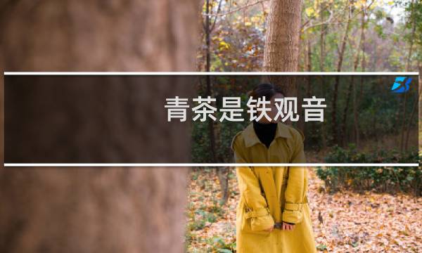 青茶是铁观音