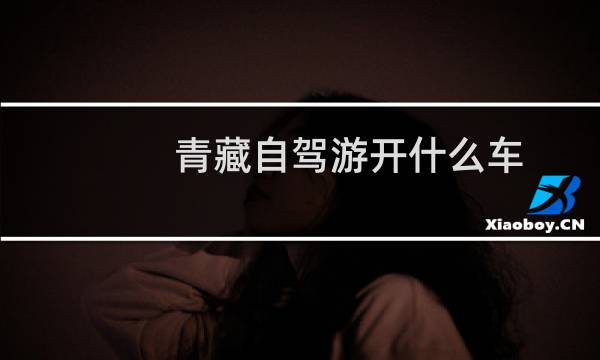 青藏自驾游开什么车