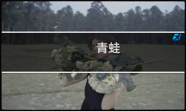青蛙 明信片 攻略