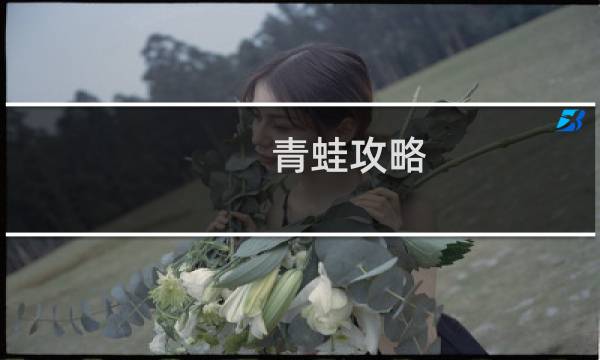 青蛙攻略 蜜蜂