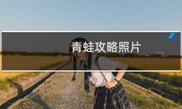 青蛙攻略照片