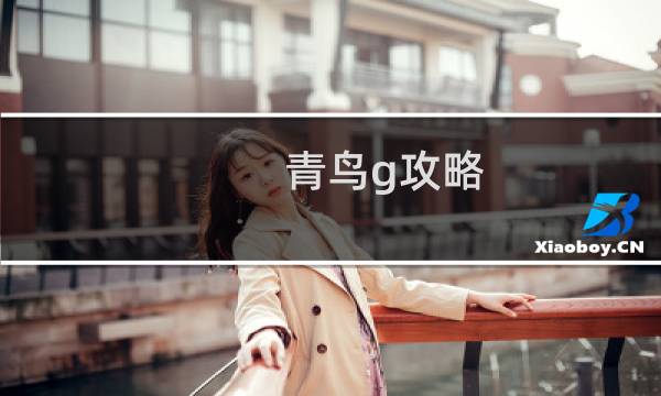 青鸟g攻略