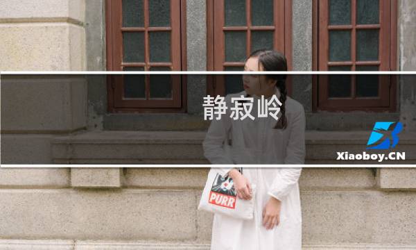 静寂岭 攻略