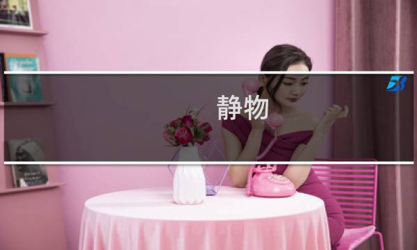 静物 攻略