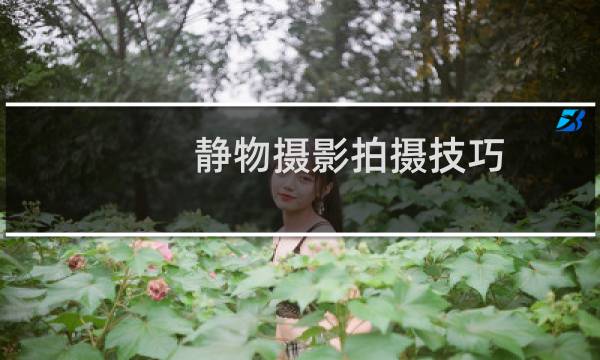 静物摄影拍摄技巧