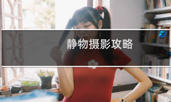 静物摄影攻略
