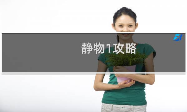 静物1攻略