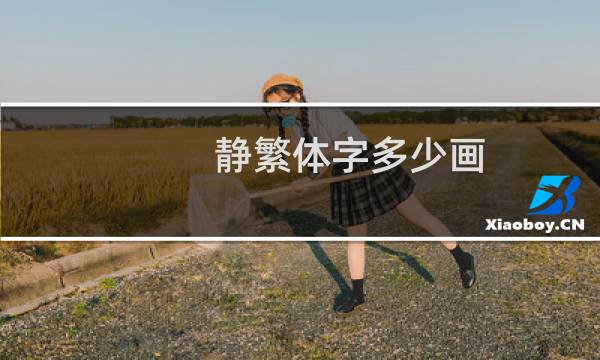 静繁体字多少画