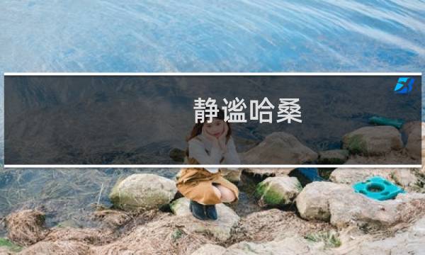 静谧哈桑 攻略