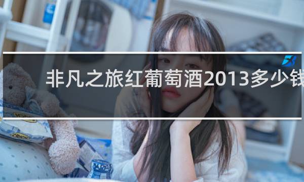 非凡之旅红葡萄酒2013多少钱