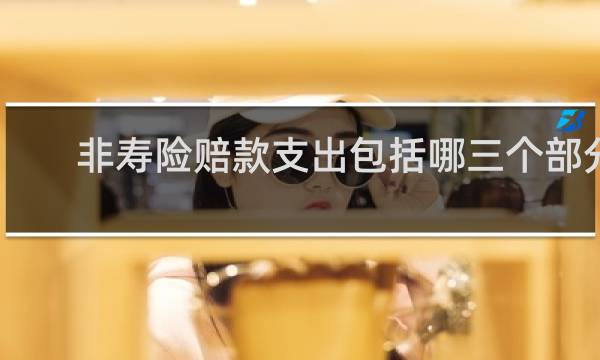 非寿险赔款支出包括哪三个部分