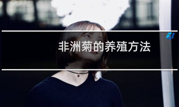 非洲菊的养殖方法