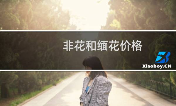 非花和缅花价格