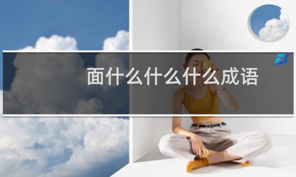面什么什么什么成语