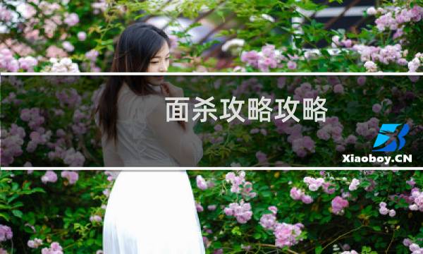 面杀攻略攻略