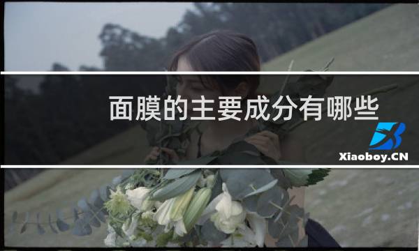 面膜的主要成分有哪些