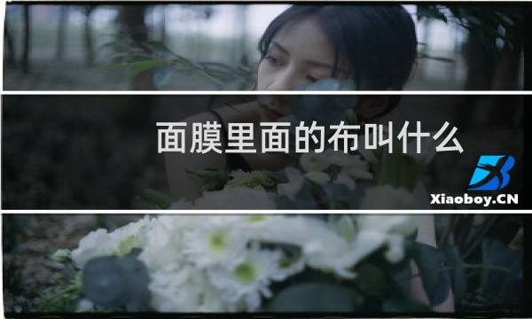 面膜里面的布叫什么