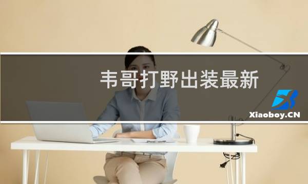 韦哥打野出装最新