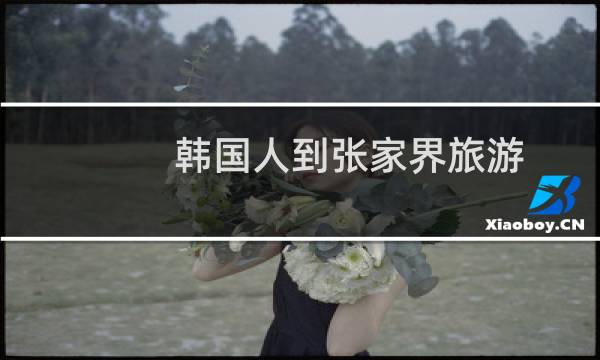 韩国人到张家界旅游