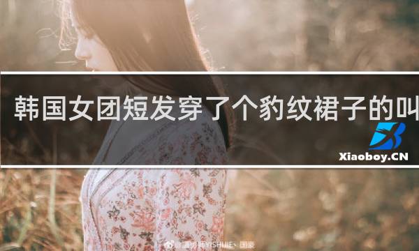 韩国女团短发穿了个豹纹裙子的叫什么