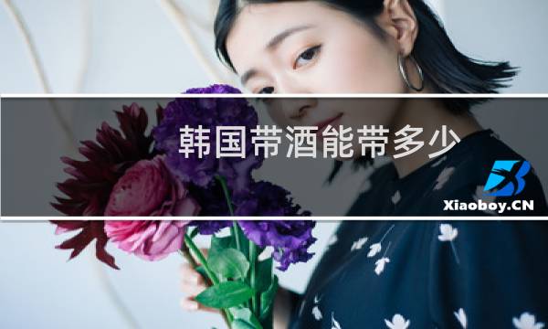 韩国带酒能带多少