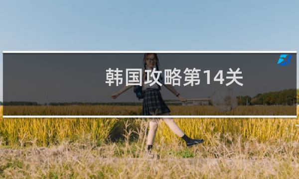 韩国攻略第14关