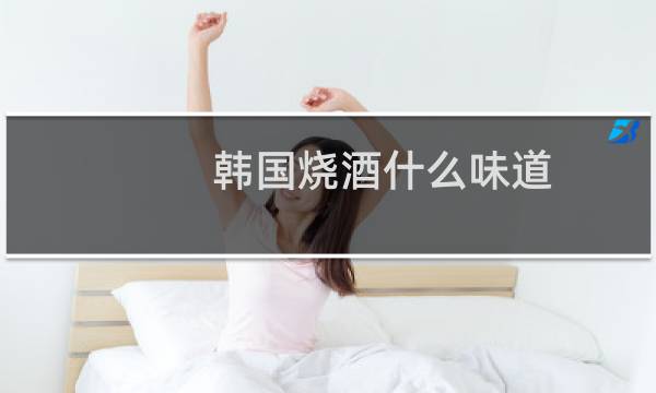 韩国烧酒什么味道