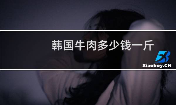 韩国牛肉多少钱一斤