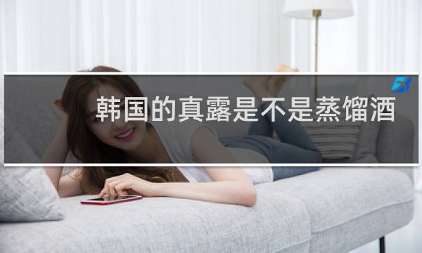 韩国的真露是不是蒸馏酒