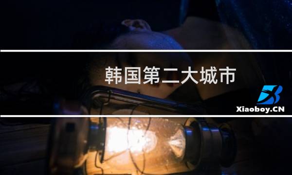 韩国第二大城市