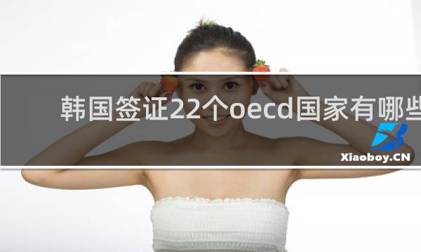 韩国签证22个oecd国家有哪些