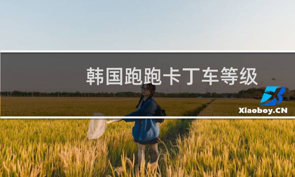 韩国跑跑卡丁车等级