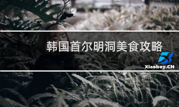 韩国首尔明洞美食攻略