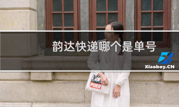 韵达快递哪个是单号