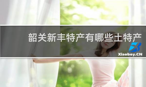 韶关新丰特产有哪些土特产