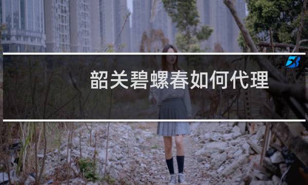 韶关碧螺春如何代理