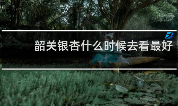 韶关银杏什么时候去看最好