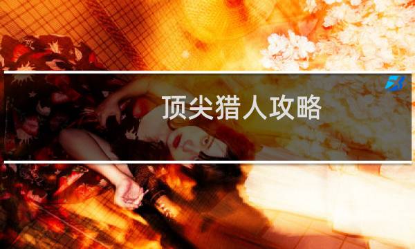 顶尖猎人攻略