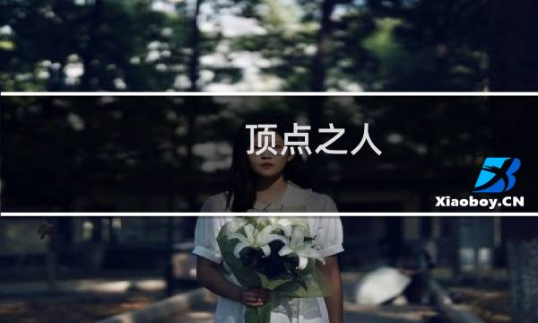 顶点之人 攻略