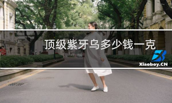 顶级紫牙乌多少钱一克