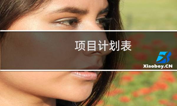 项目计划表